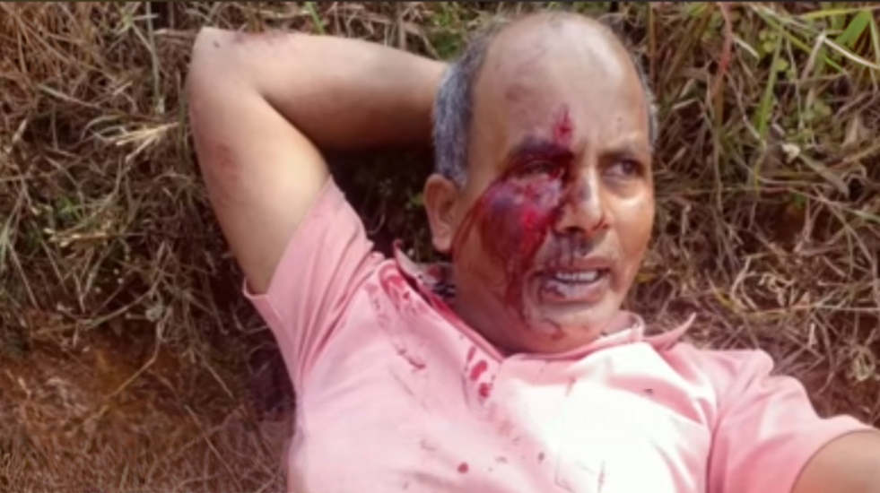 चांदोली परिसरात रानगव्याचा हल्ला; पार्टेवाडीतील शेतकरी गंभीर जखमी